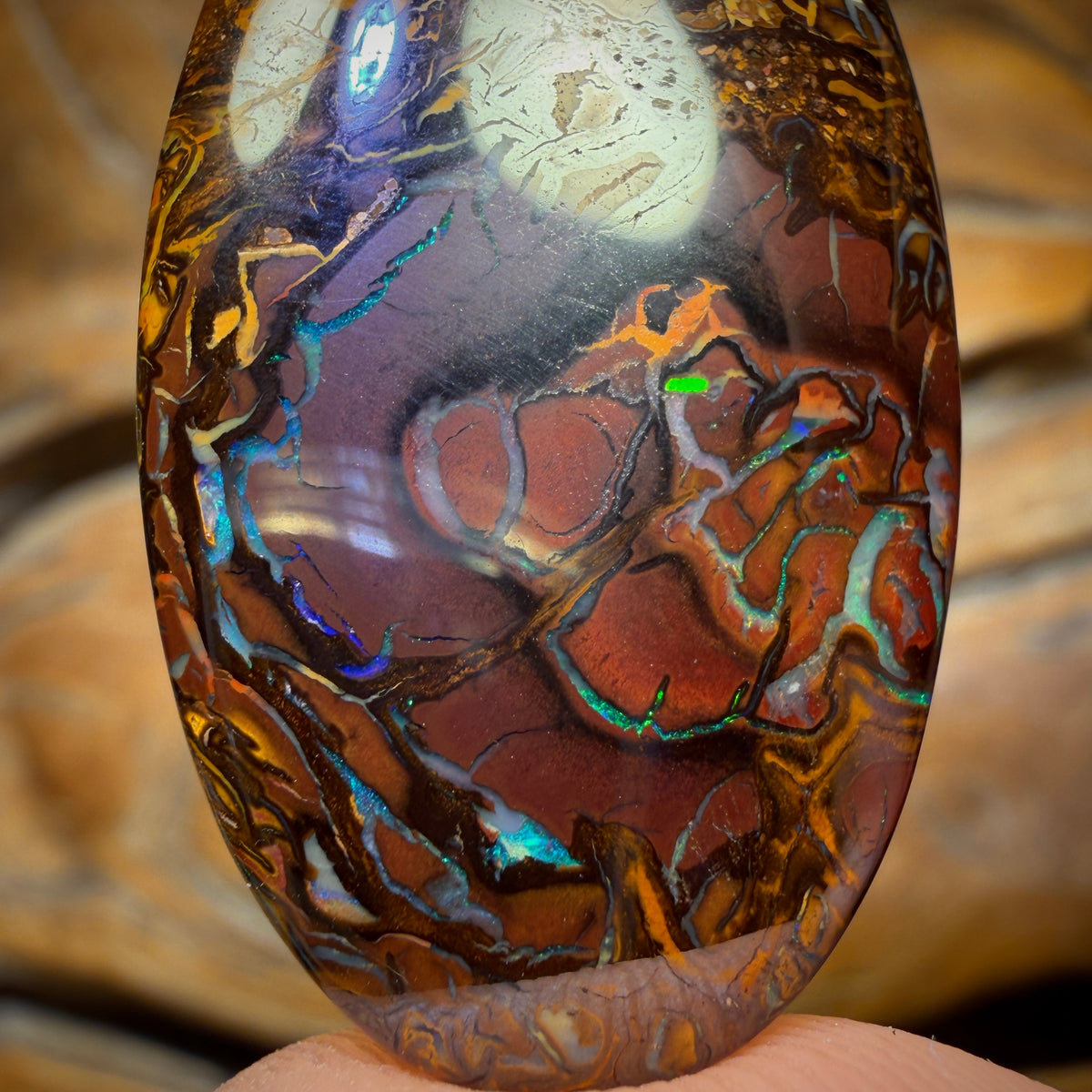 46.1cts - Tribal Yowah Nut Opal. Australian Opal Picture Stone