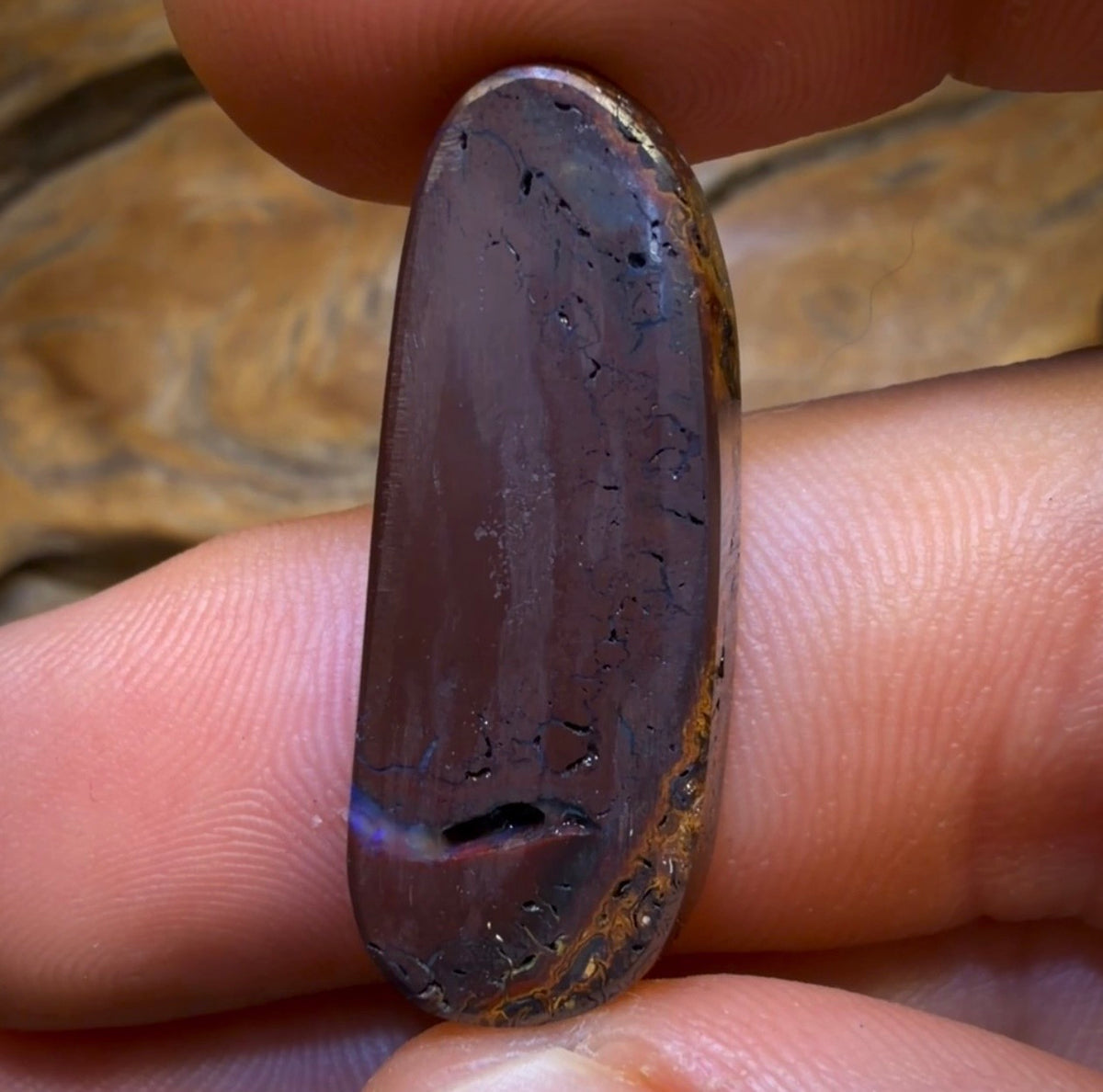 27.8cts - Tribal Queensland Boulder Opal from Koroit