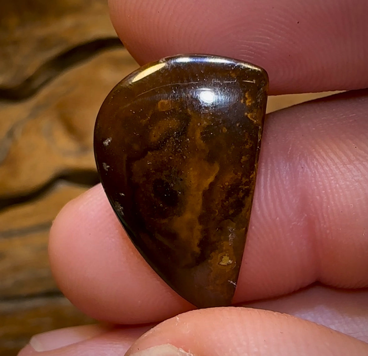 10.8cts - Yowah Nut Crystal Centre Kernel Opal - Opal Whisperers