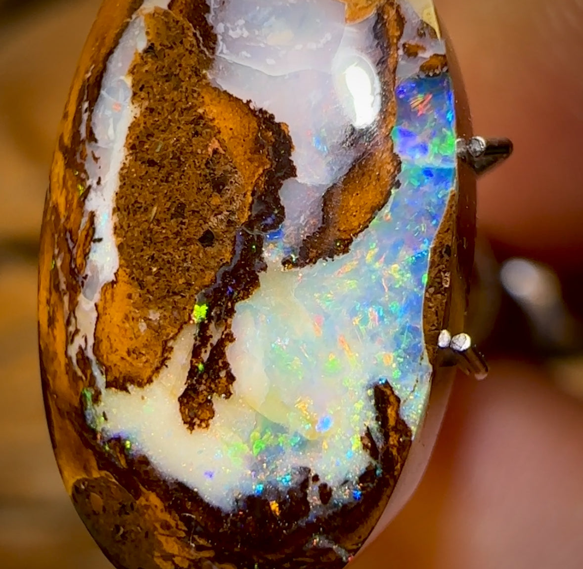🔨 AUCTION 🔨 No Reserve 6.1cts - Australian Boulder Opal from Yowah
