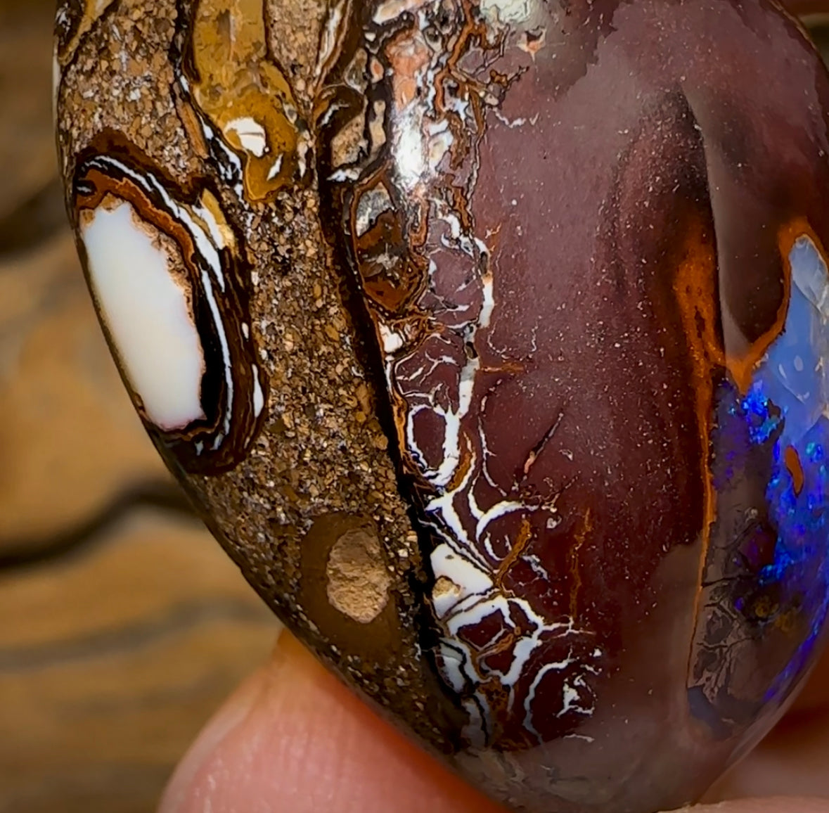 67.5cts - Yowah Nut Kernel Opal. Australian Opal - Opal Whisperers