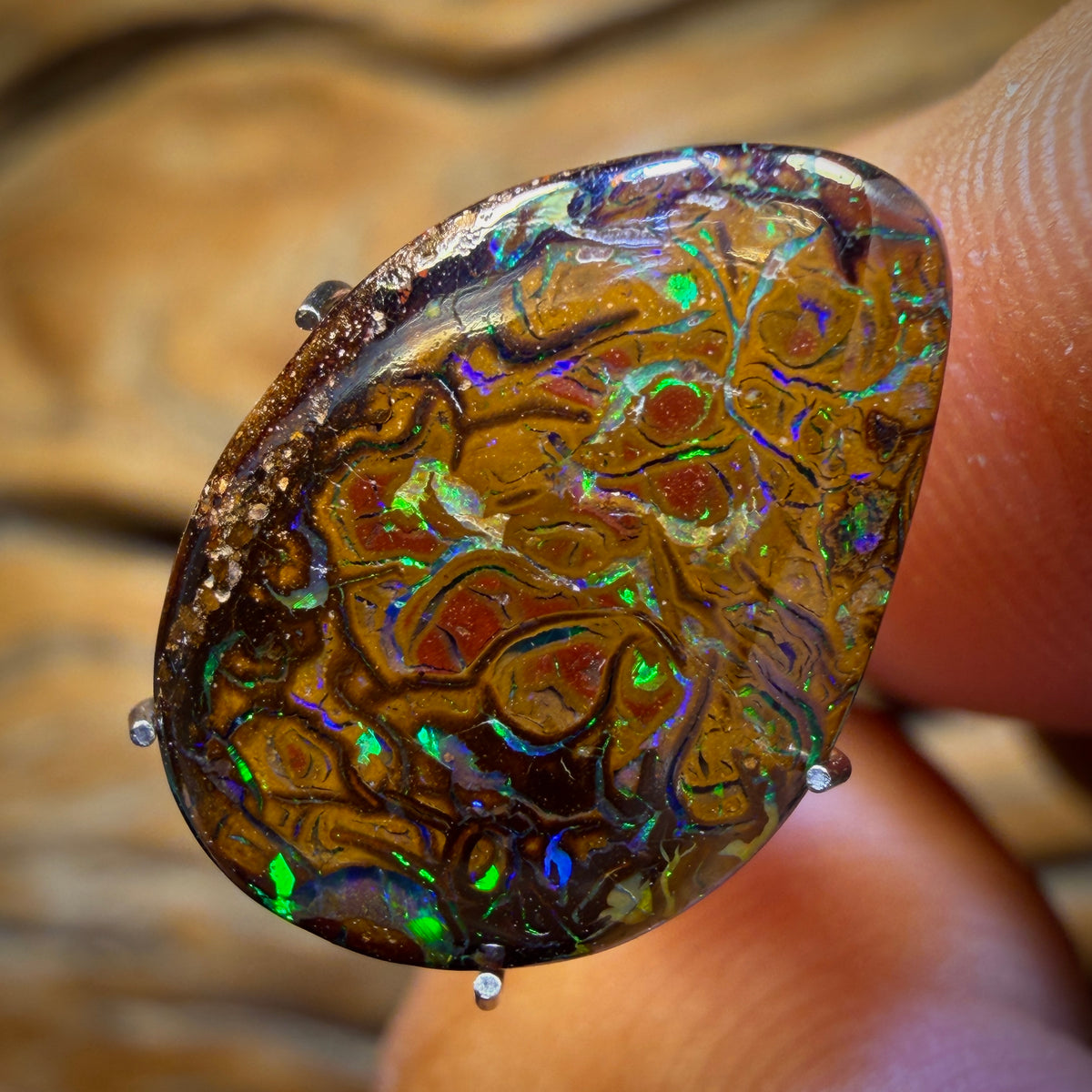 6.3cts - Opale tribale Yowah Nut. Opale boulder australienne