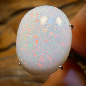 🔨 AUCTION 🔨 No Reserve 9.6cts - South Australian White Opal