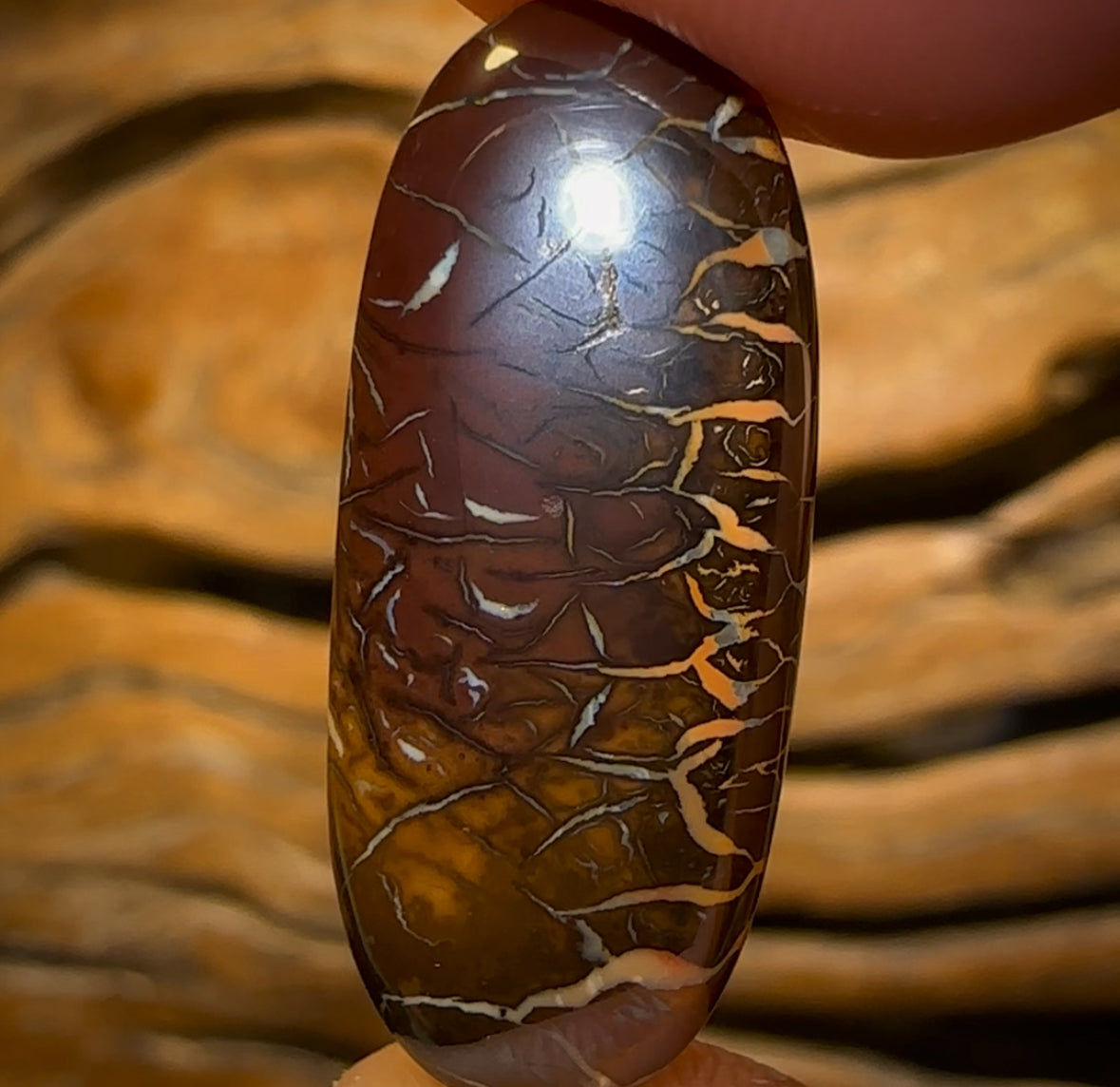 Auction Fall-Through = Your Gain! 🔥 Now More Than 50% Off RRP 🚨 20.1cts - “hieroglyphic Dancers” Crazy Pattern Queensland Boulder Opal from Koroit Art of Opal Worthy