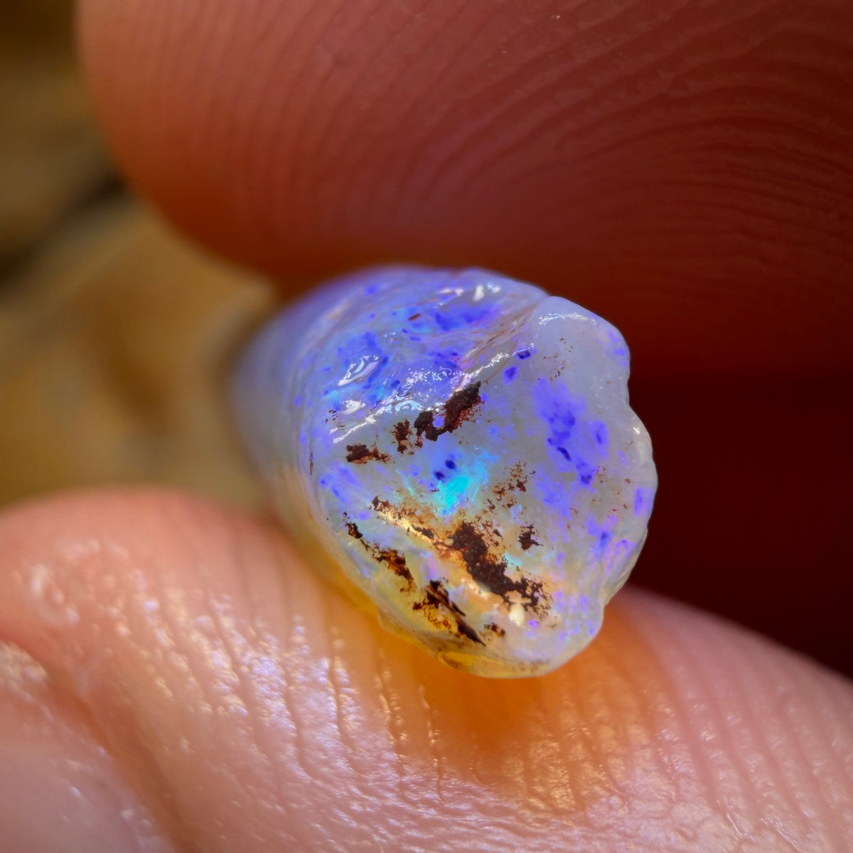 8.2cts - Opalised Belemnite Geological Specimen from South Australia