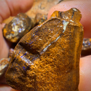 923cts - 11x Yowah Nut Rough Opal Parcel. Australian Boulder Opal