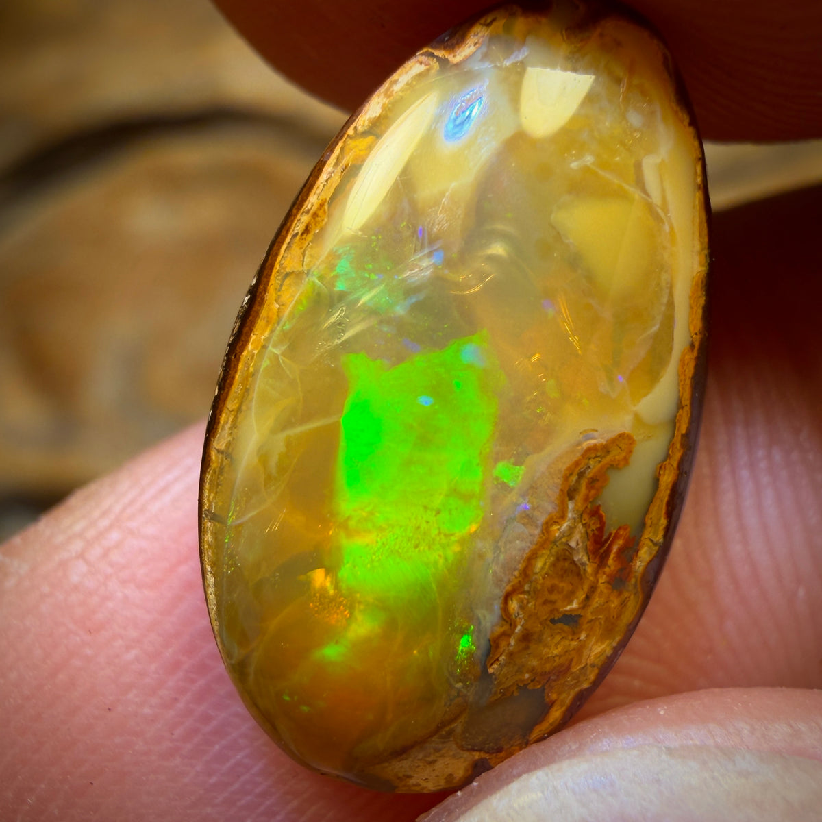 8.9cts - Amazing Suspended Golden Yowah Nut Crystal Centre Opal