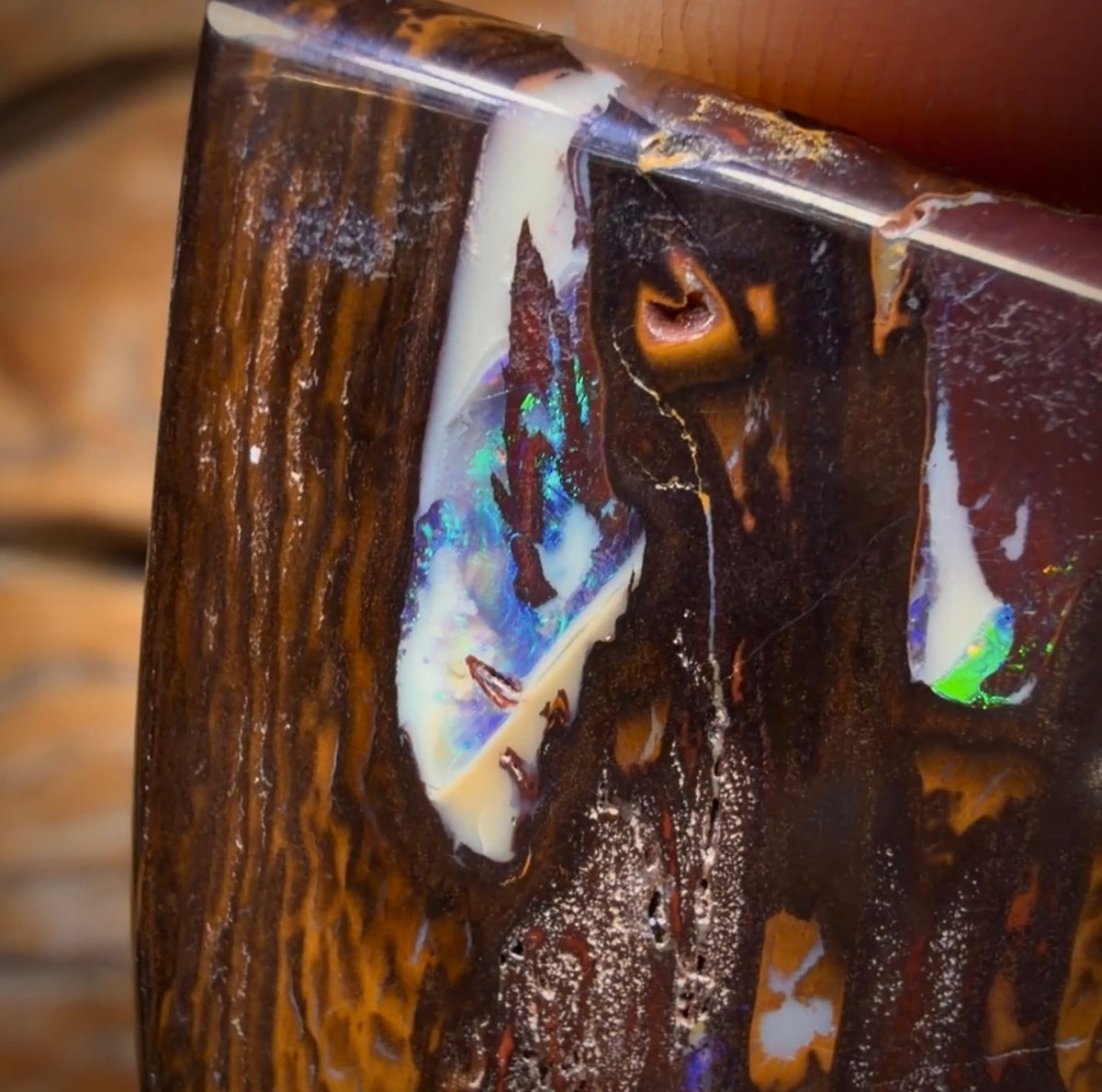 67.7cts - Yowah Nut Opal. Australian Opal