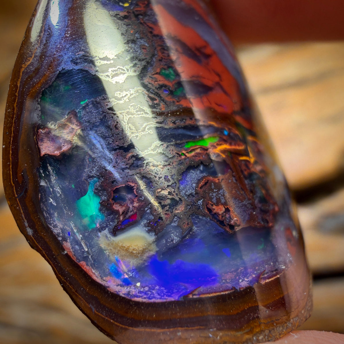 53.6cts - Yowah Nut Kernel Opal. Polished Specimen