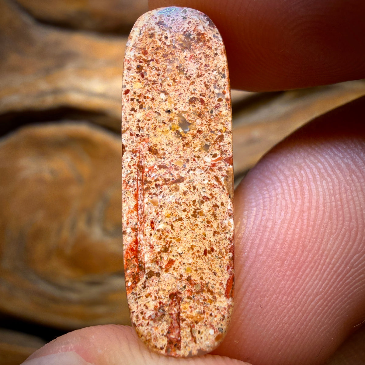 8.5cts - Solid Australian Boulder Pipe Opal Bargain