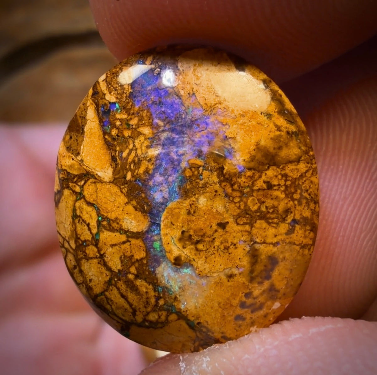 122.7cts - 10x Australian Tribal Boulder Opal’s. Wholesale Dealer’s Parcel