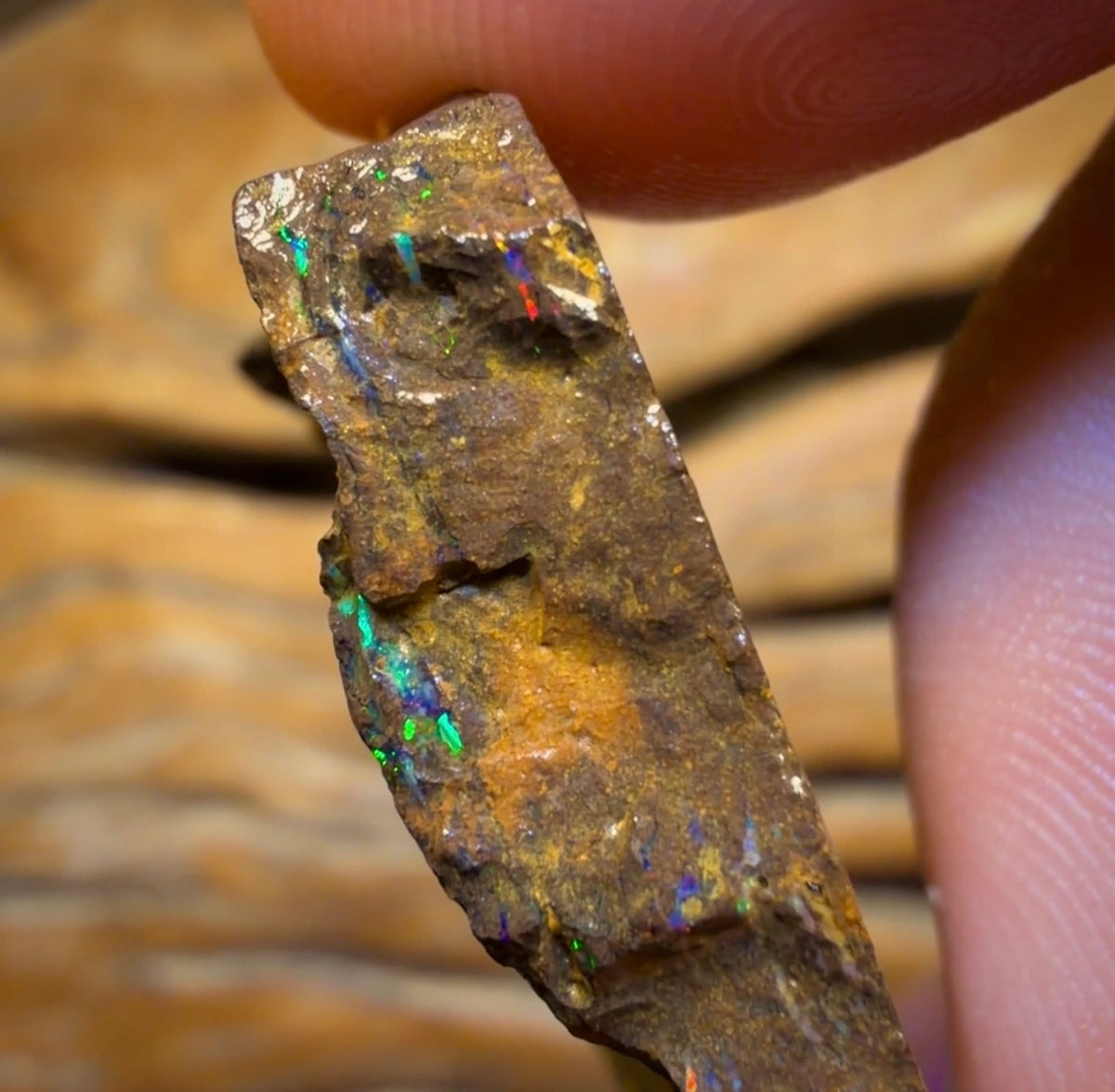 72,6 ct – Australischer Boulderopal-Rohling. Bubble Band