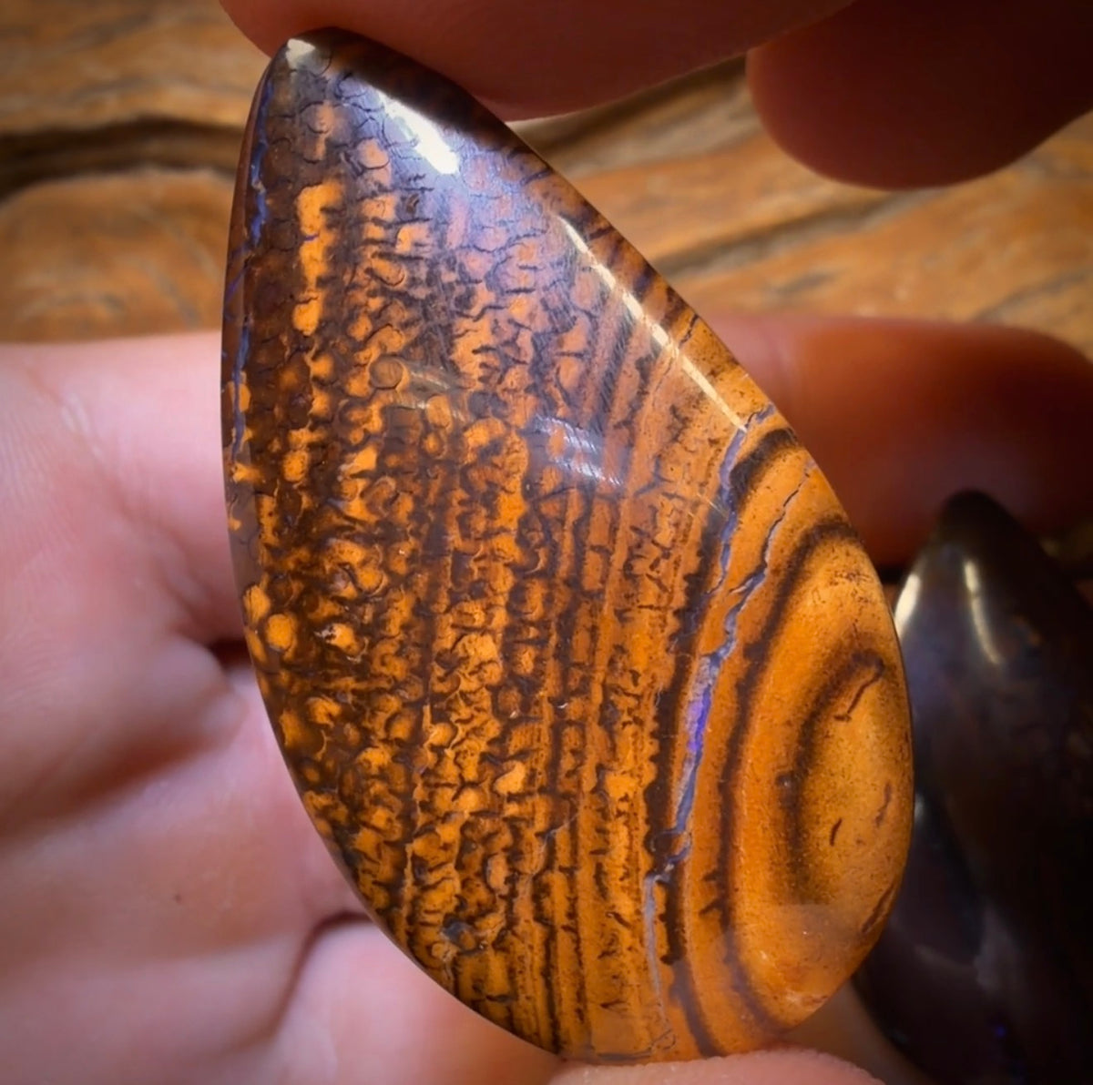 112.5cts - 3x Australian Tribal Boulder Opal’s. Wholesale Dealers Parcel