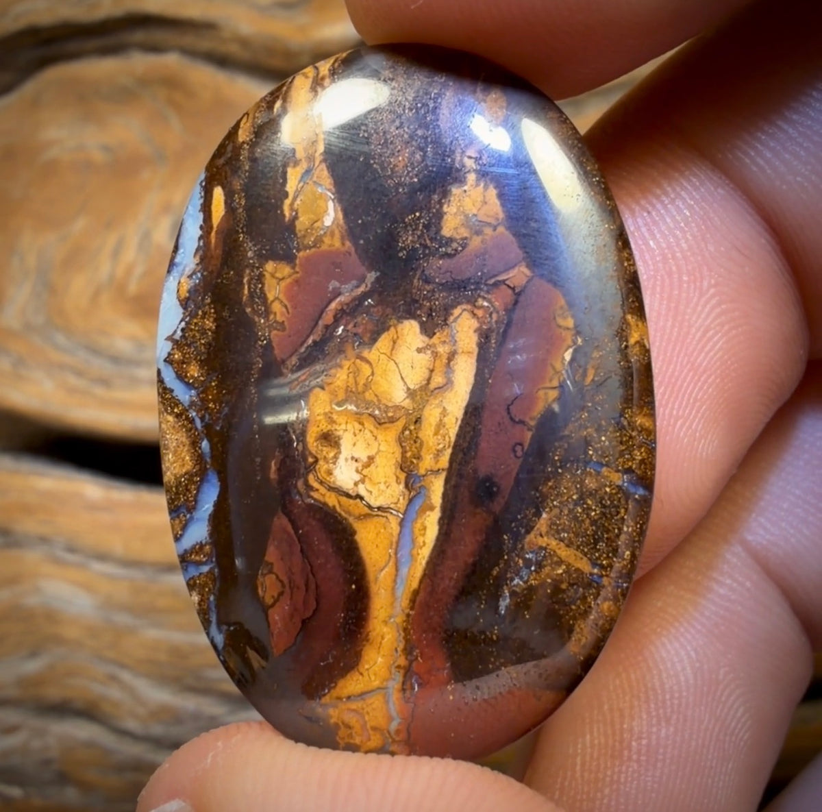 53.3cts - Queensland Boulder Opal from Yowah