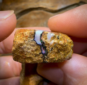 235.1cts - 3x Boulder Pipe Opal Rubs. Australian Opal Bargain under $1/ct