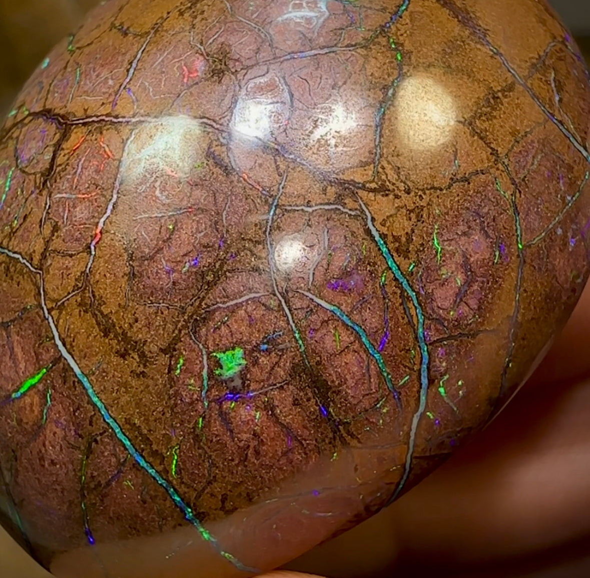 160cts - Large Yowah Nut Opal. Tribal Pattern - Opal Whisperers