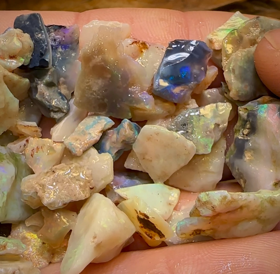 200cts - Lightning Ridge Opal Rough Parcel. 50+ Pieces