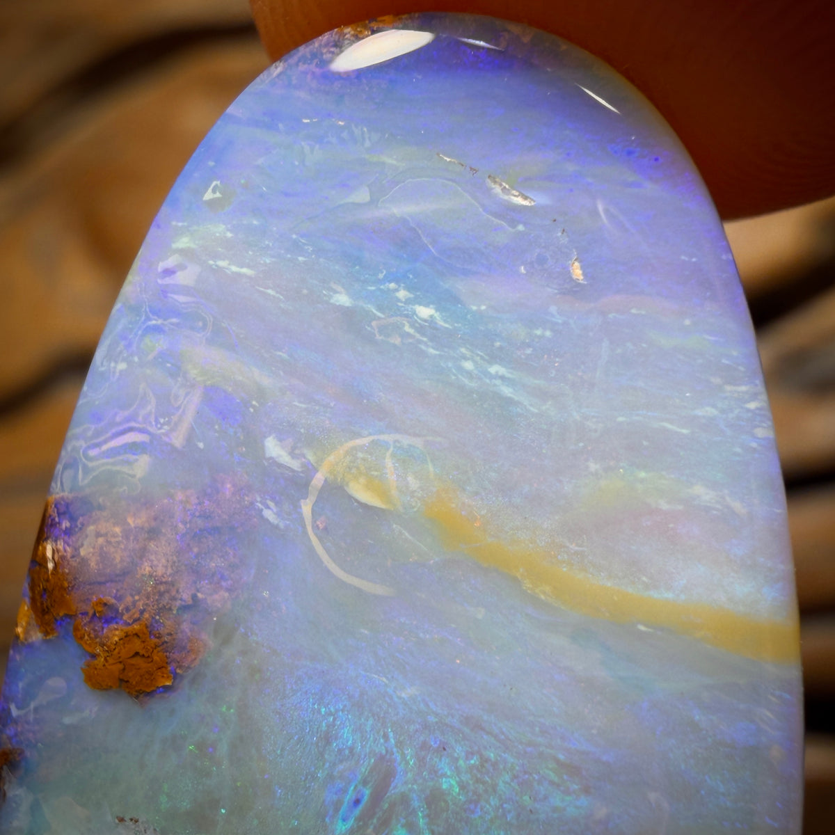 34.1cts - Wood Fossil Replacement Boulder Opal from Yowah