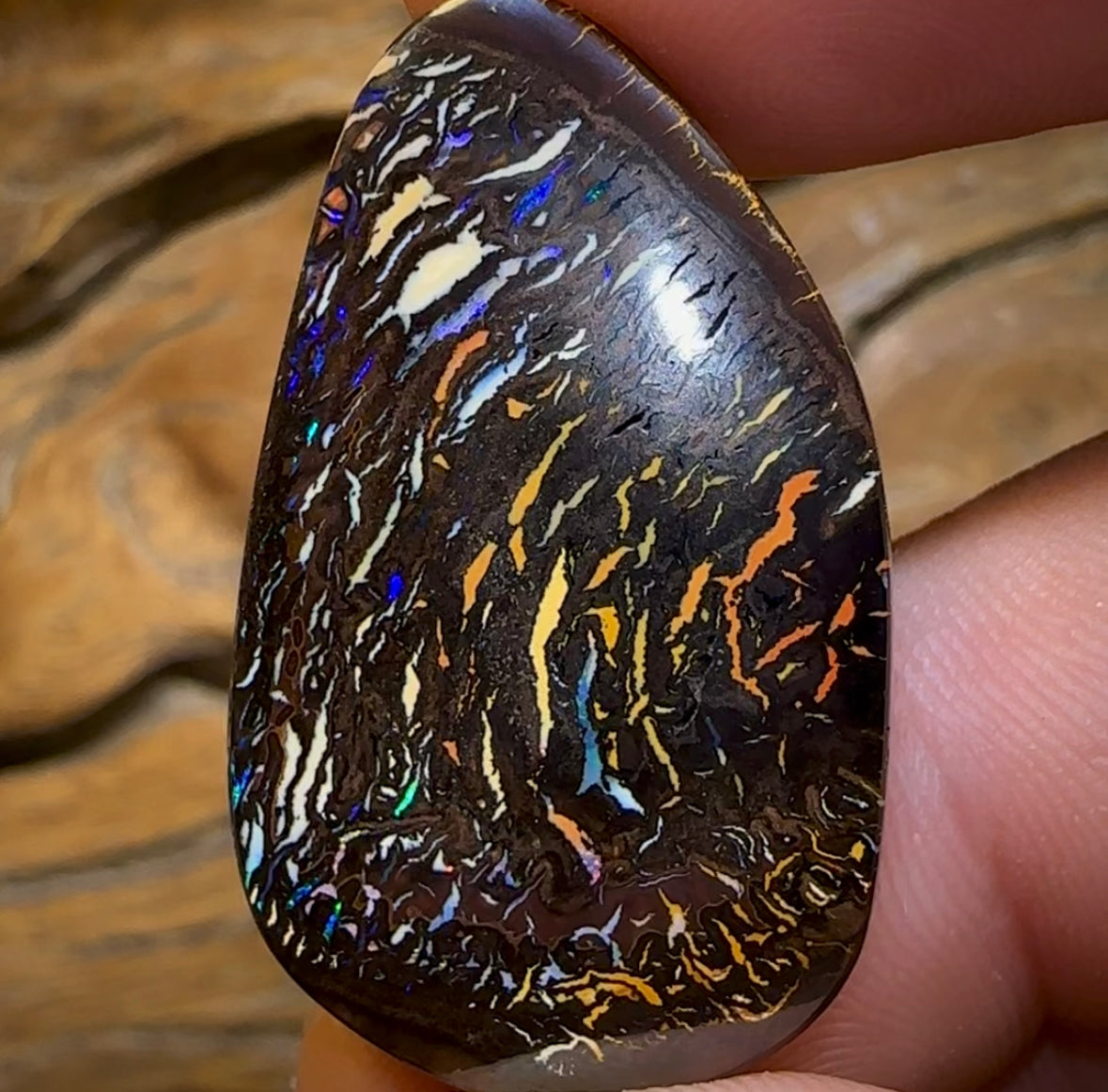 48.3cts - “Tribal Dance”Koroit Nut Tribal Opal. Australian Opal - Opal Whisperers