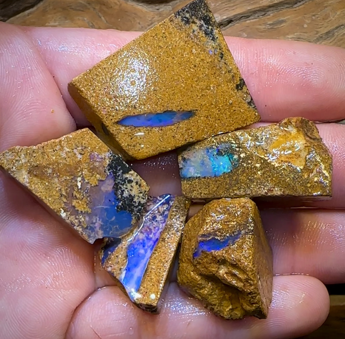 161.5cts - 5x Queensland Boulder Pipe Opal Rough Parcel BARGAIN