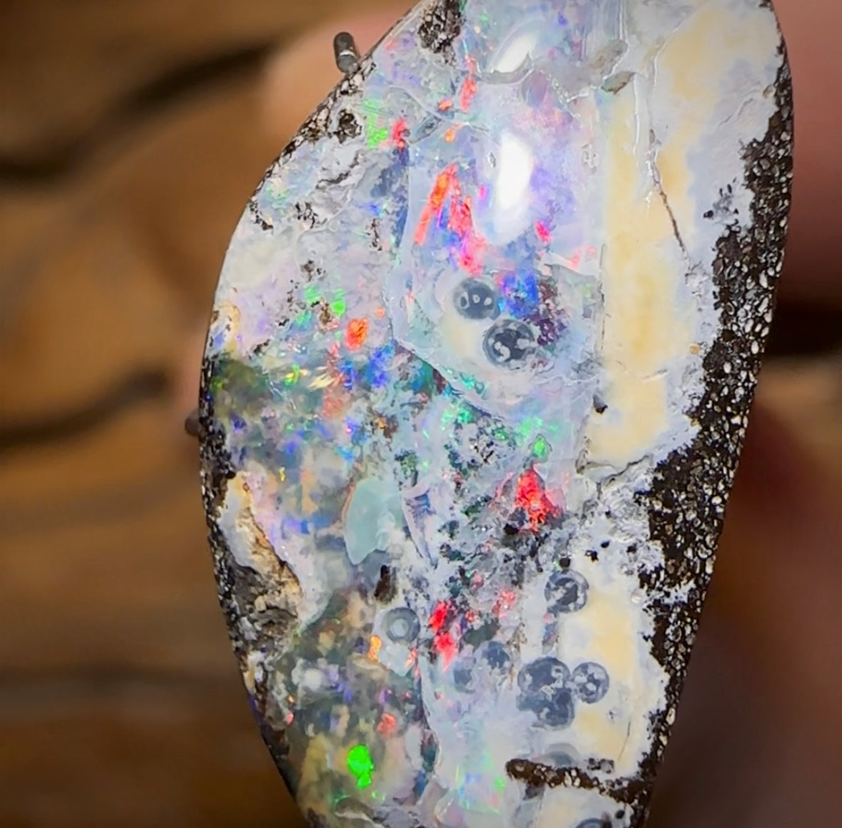 12.3cts - Australian Boulder Seam Opal, Cool Pattern Bright Fire - Opal Whisperers