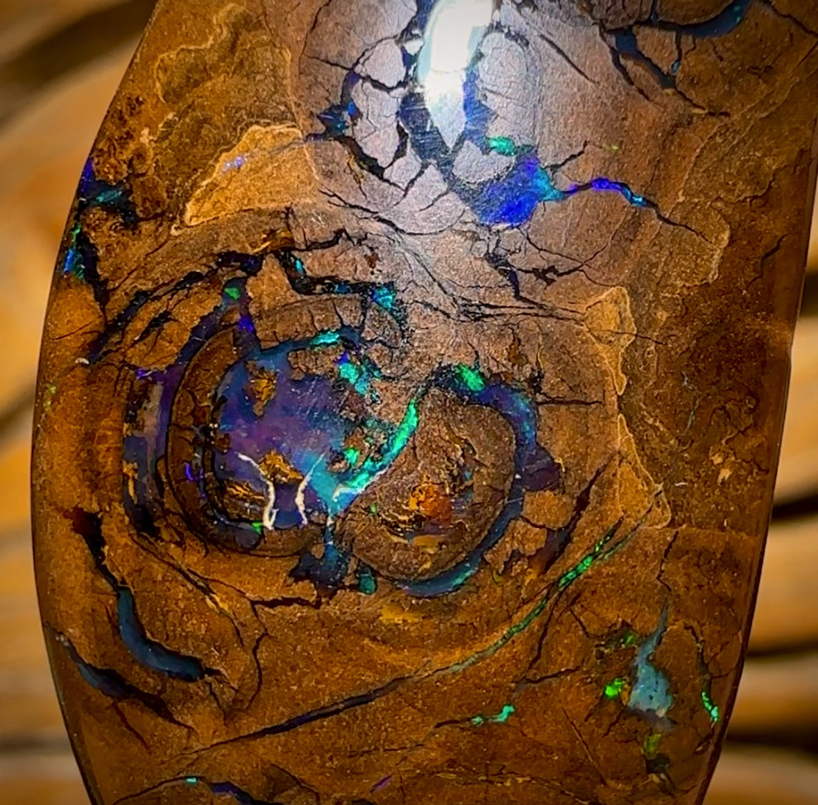 66.1cts - Queensland Boulder Opal from Yowah