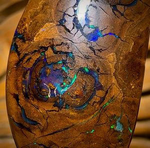 66.1cts - Queensland Boulder Opal from Yowah