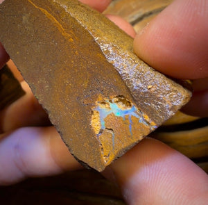🔒Dealers Wildcard 507.7cts - 2x Australian Boulder Seam Opal Rough Pieces