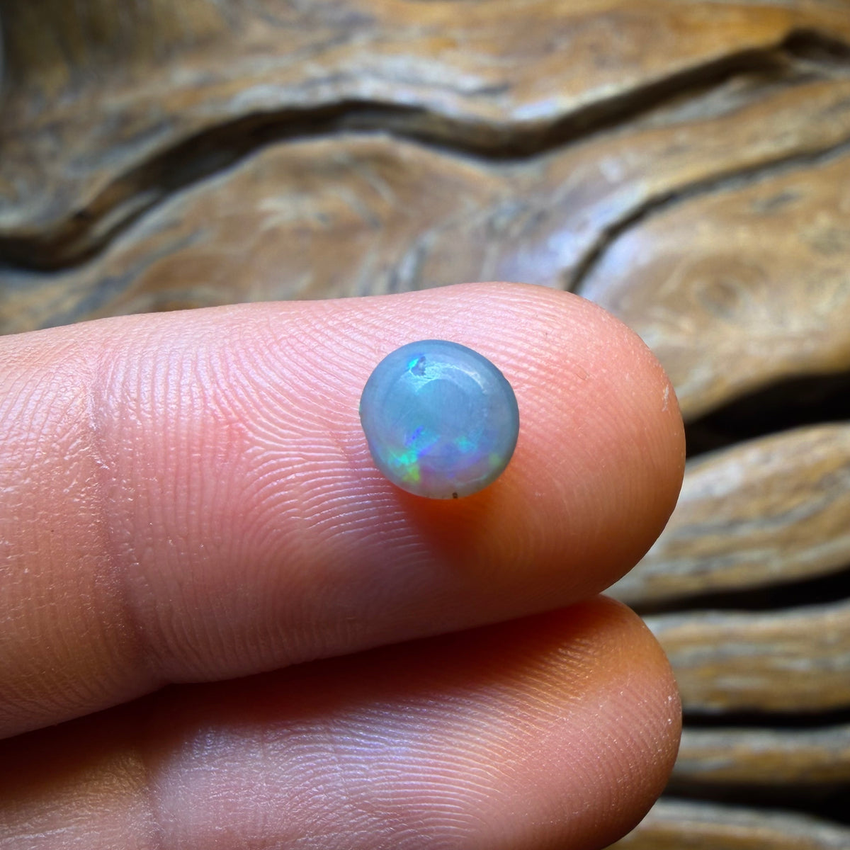 Auktion Nr. 0,9 Karat – Dunkler Opal aus Lightning Ridge