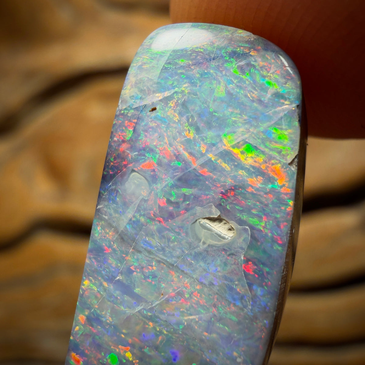 🔨 AUCTION 🔨 Reserve 💎 High Roller Banger Auction 💎 16.7cts - Queensland Boulder Seam Opal from Winton