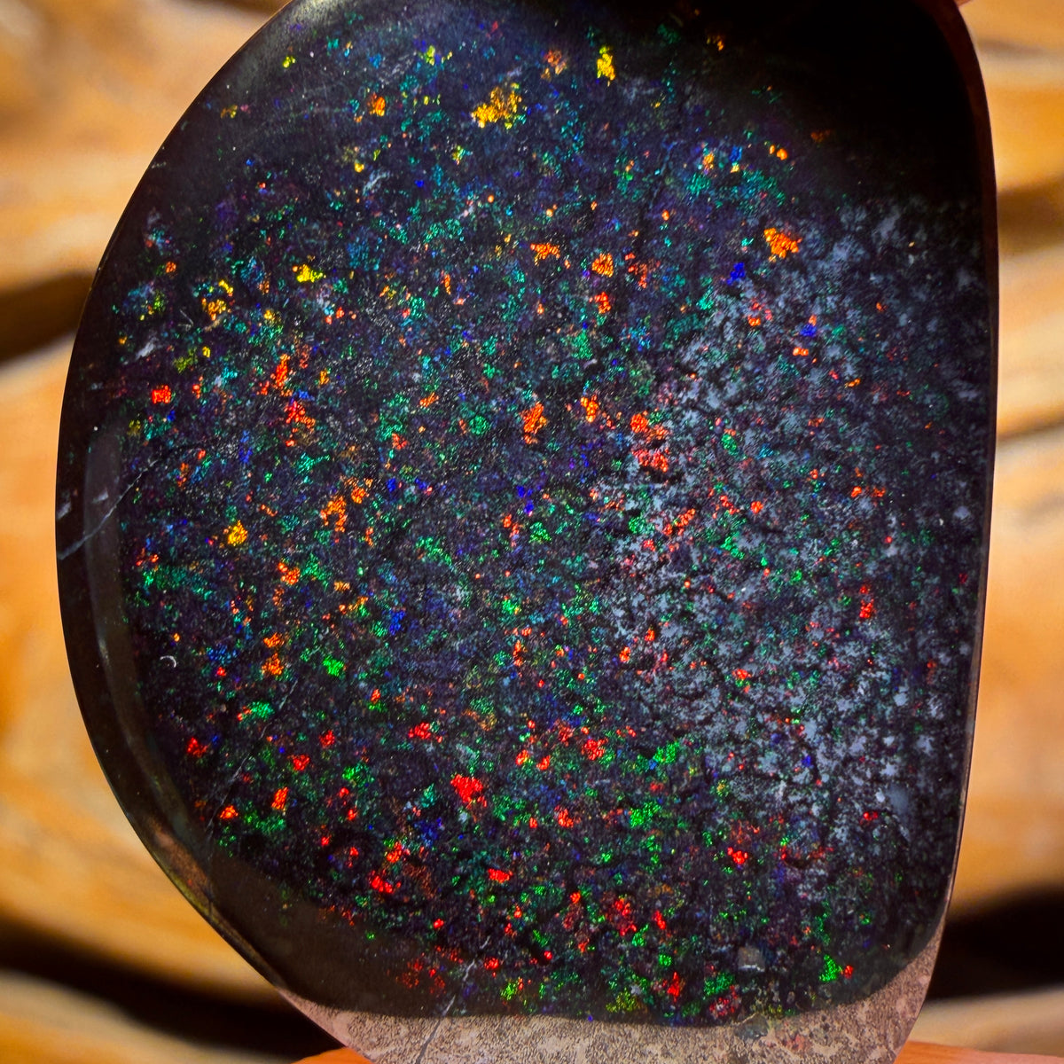 “Set in Stone” - Private Collector Acquisition- “Universe” 39.1cts - Rare Black Boulder Opal from Yowah