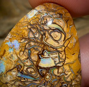 28.8cts - Yowah Nut Opal. Tan, Yellow Tribal with Crystal edges.