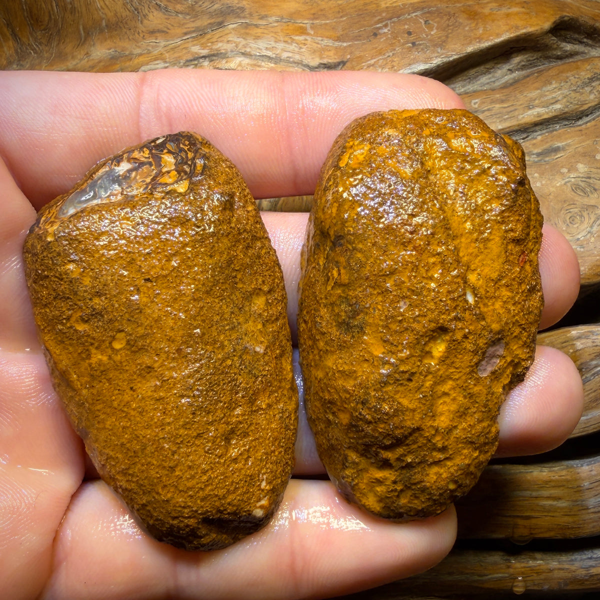 Aren’t you Glad you waited till the End Card! 254.8cts - RARE Yowah Nut Partial Crystal Centre Rough Specimen Pair