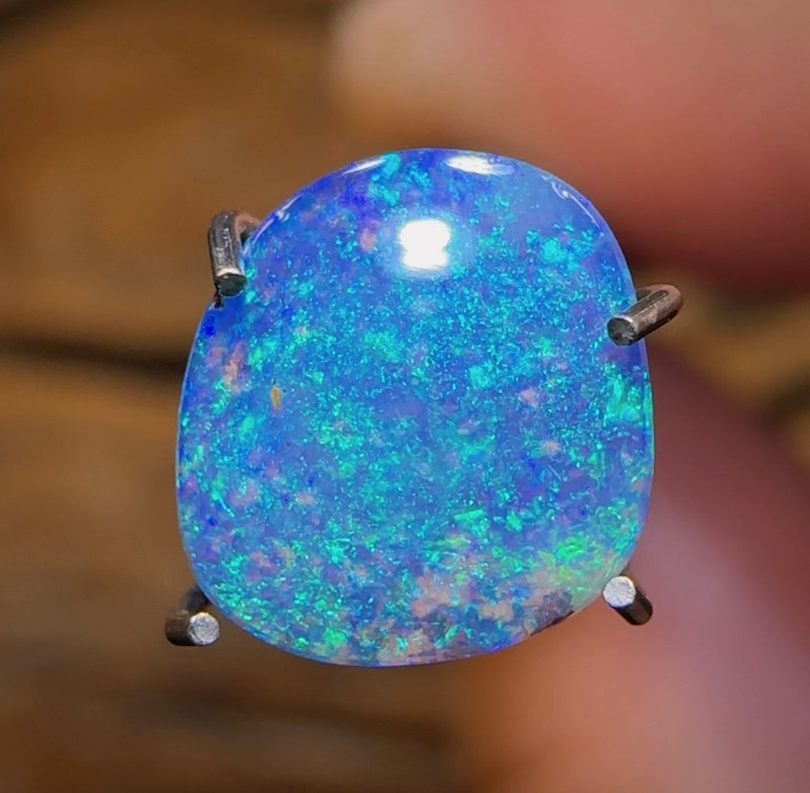 Auction Fall-Through = Your Gain! 🔥 Now More Than 50% Off RRP 🚨 1.25cts - Top Australian Boulder Seam Opal Scandinavian AKA Ice Blue