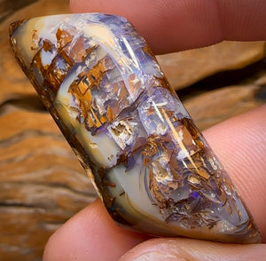 78.9cts - Large Australian Boulder Wood Fossil Opal