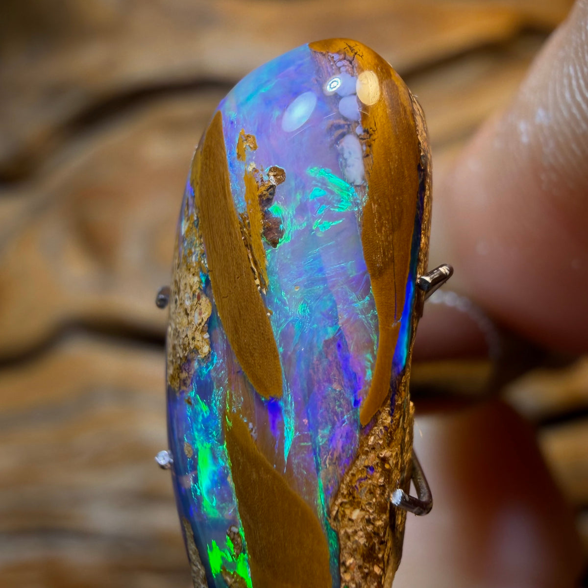 OpalFest 50% Off Banger WildCard! 7.8cts - “Tooth Like” TOP Solid Australian Boulder Pipe Opal