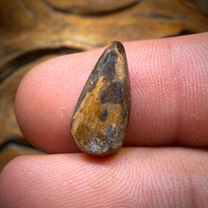 3.8cts - Queensland Boulder Seam Opal Rub