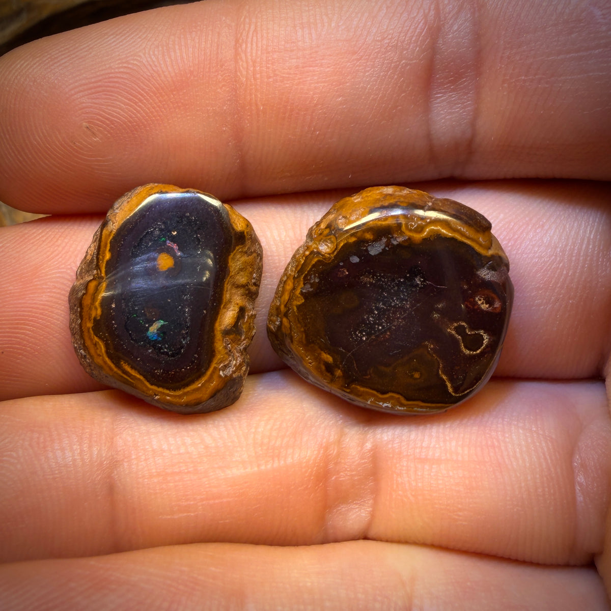 Collectors Card ! 46.9cts - Yowah Nut Partial Crystal Centre Opal Pair Polished
