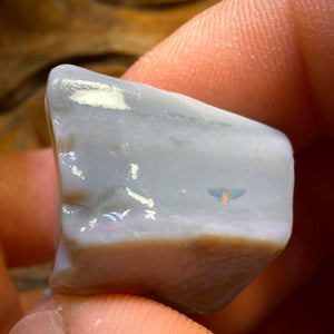 145.3cts - 3x Lightning Ridge Opal Rough Parcel