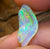 (NOTE - description needs attention) 3.6cts - Fossil Shell Opal Crystal Carving - Opal Whisperers