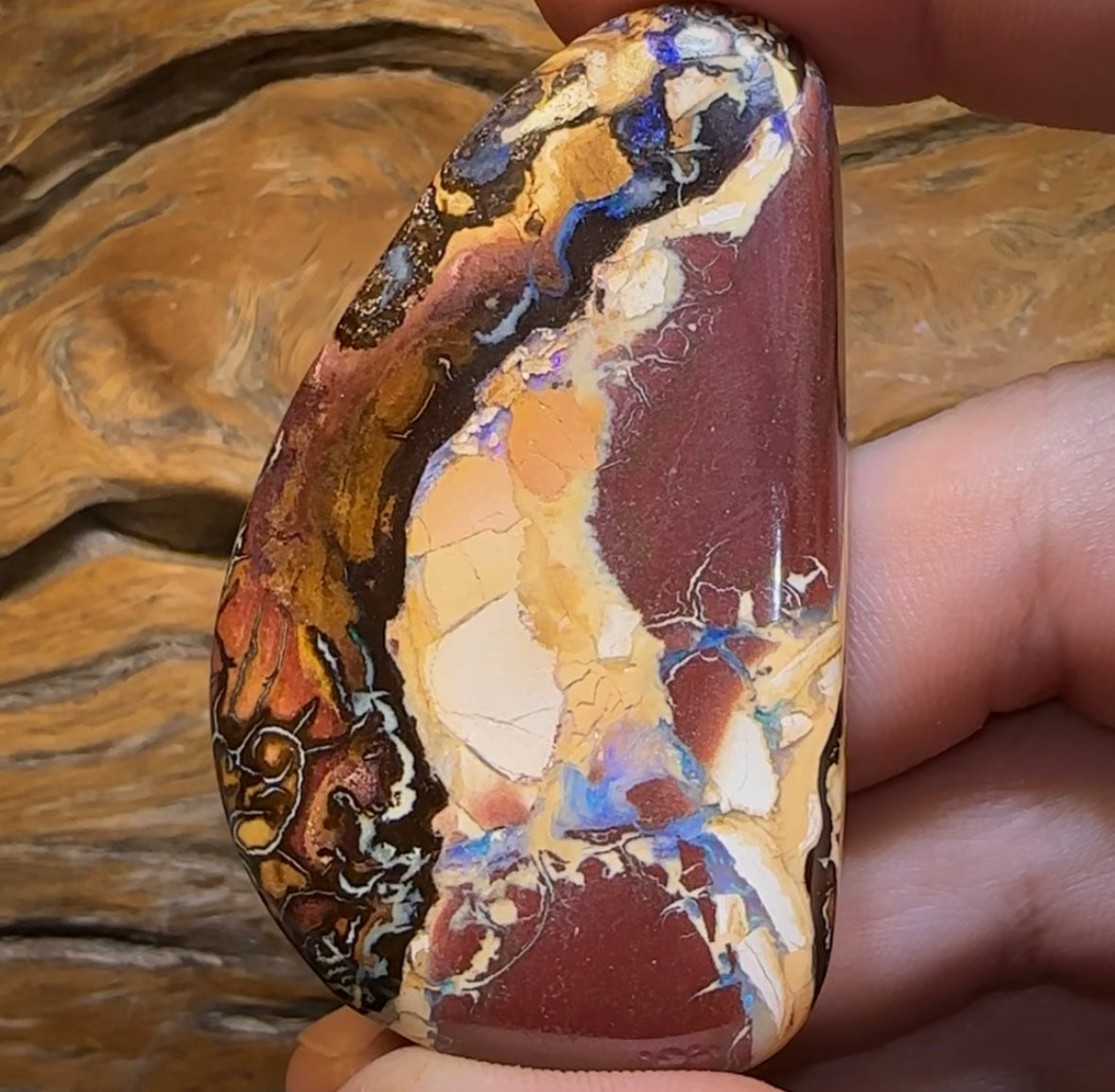 198.7cts - XL Queensland Boulder Picture Stone Opal from Yowah