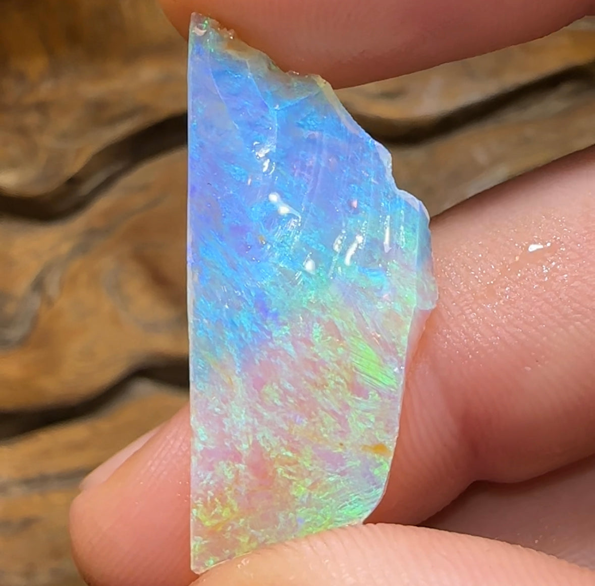 (Template) 6.8cts - Pure Yowah Crystal Opal Rough Piece. Highly Prized Material - Opal Whisperers