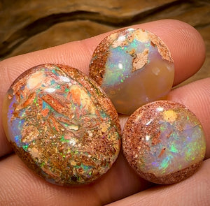 34.9cts - 3x Finished Queensland Boulder Pipe Opals. Wholesale Dealers Parcel