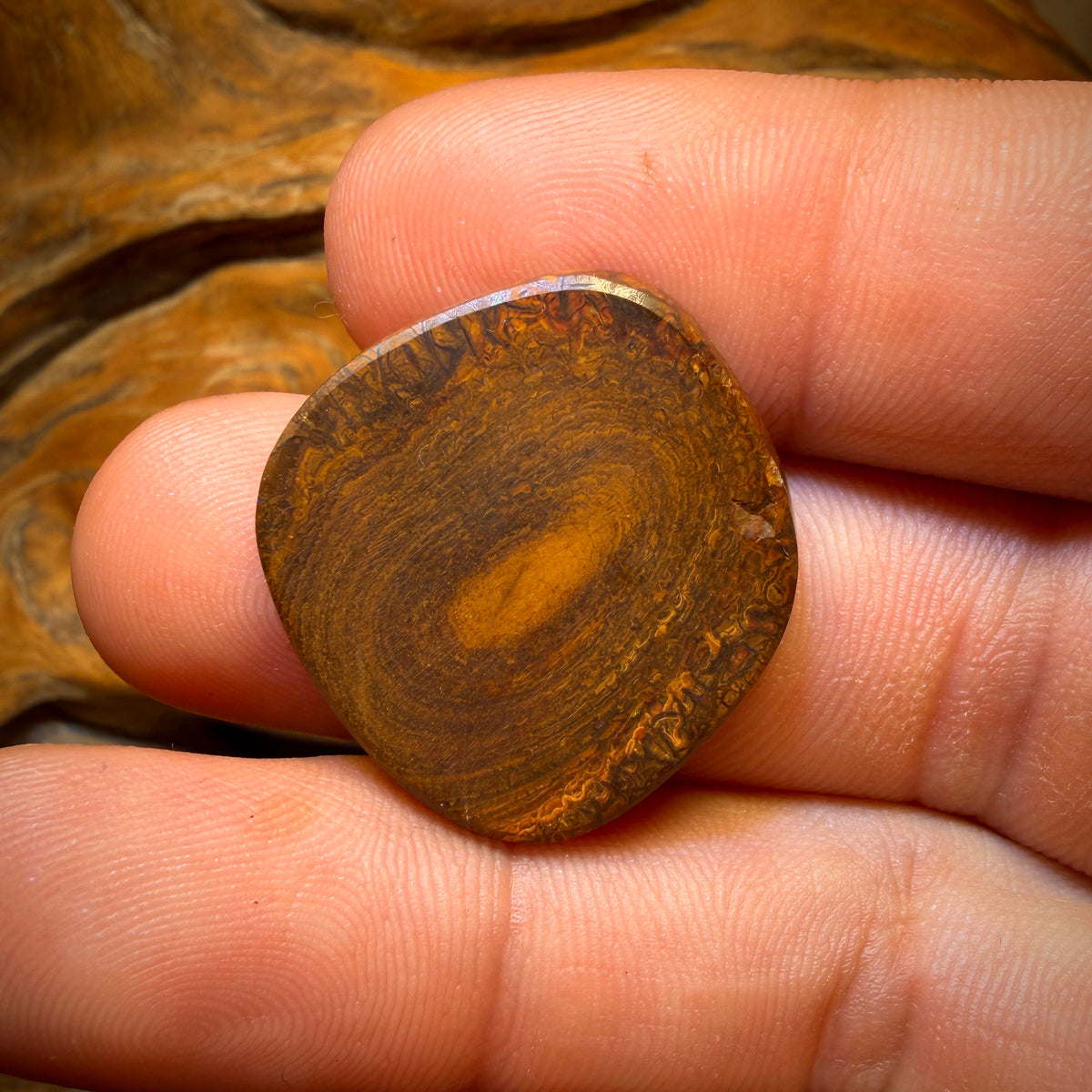 29.3cts - Tribal Yowah Nut Opal. Electric Green