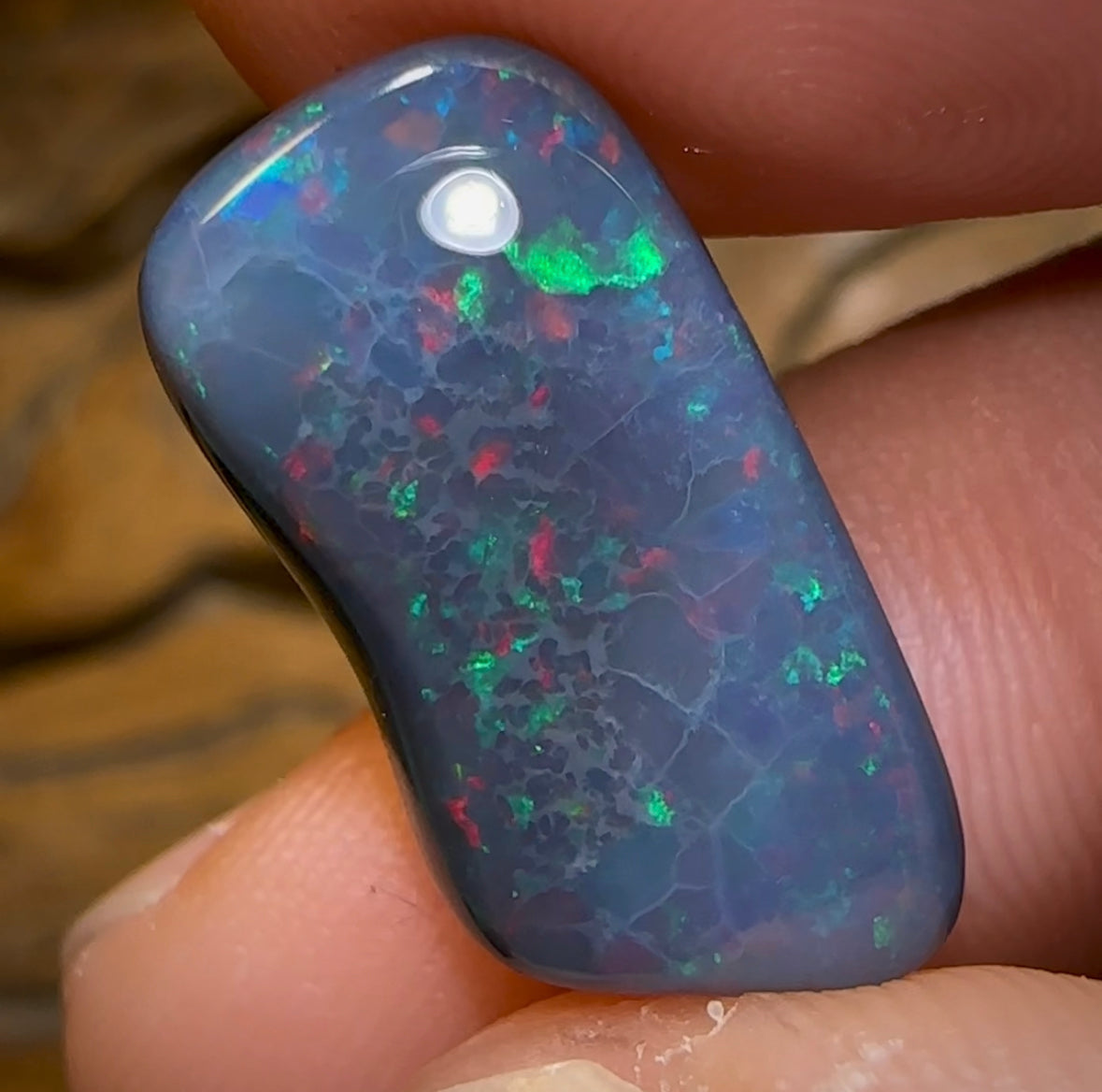 9.1cts - Australian Red on Black Multicolour Opal from Lightning Ridge - Opal Whisperers