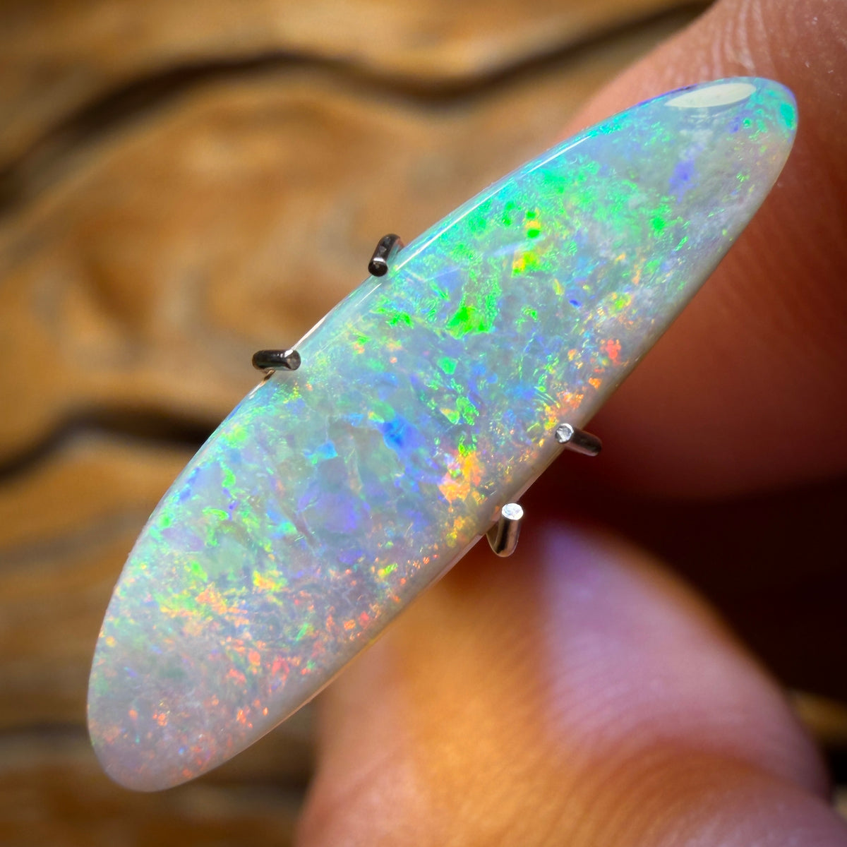 Half Price Card! 2.2cts - Dark Opal from Lightning Ridge Double Sided