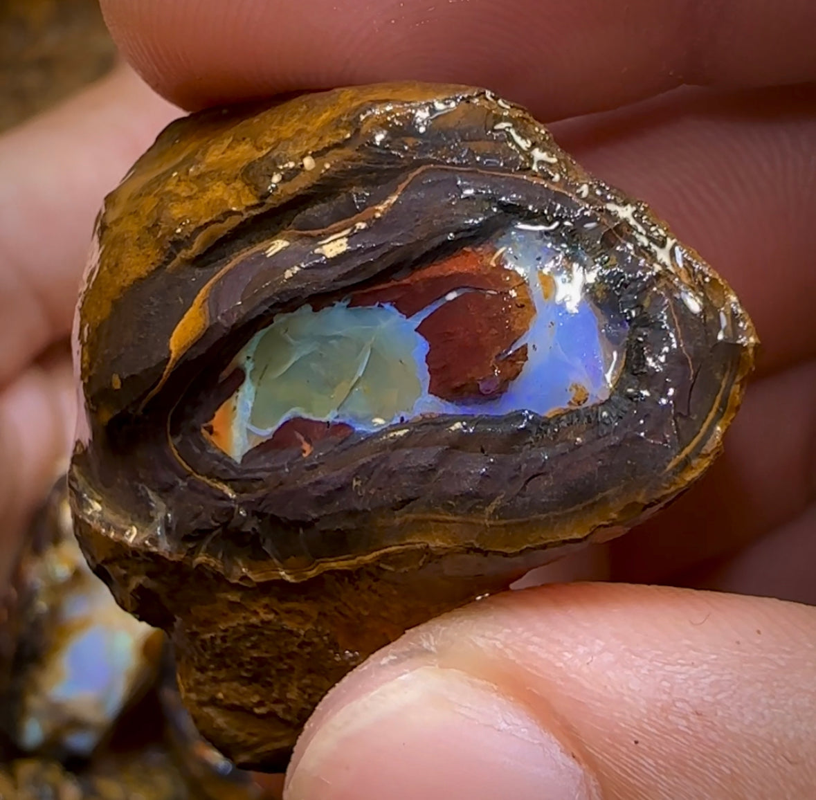140.1g - 8x Mixed Queensland Boulder Opal Rough Pieces with Crystal Centres - Opal Whisperers