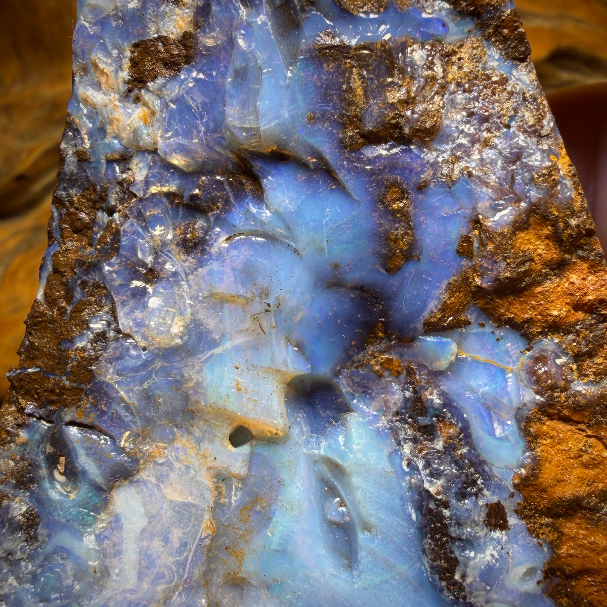593cts - Massive Queensland Boulder Seam Opal Rough Piece