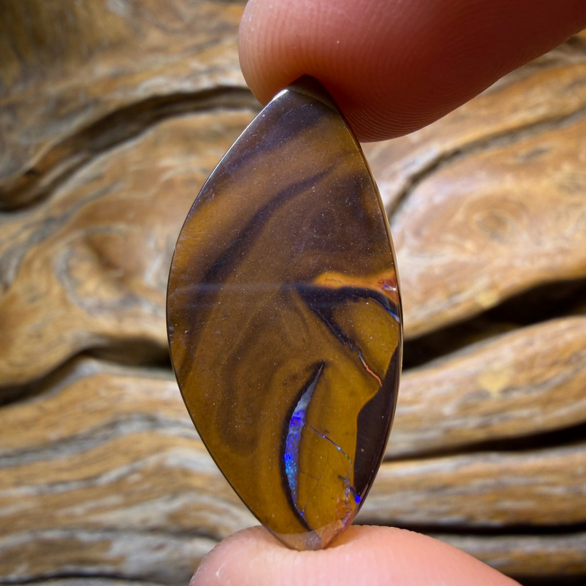 HDW 21.1cts - Tribal Queensland Boulder Opal. Australian Opal
