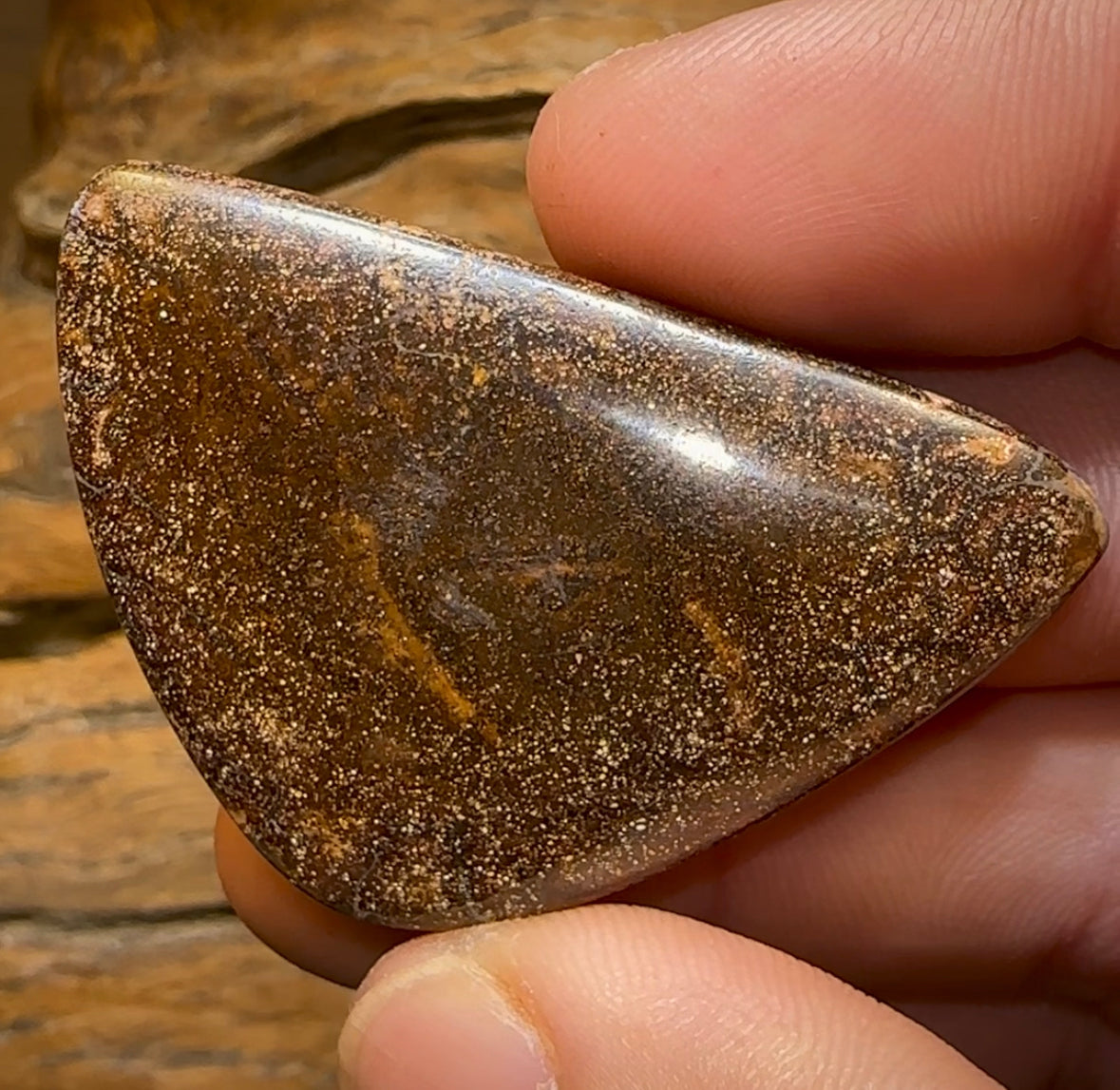 124.2cts - Large Queensland Boulder Opal. Multicolours - Opal Whisperers